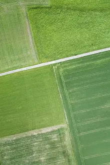Graphic: Luftuafnahme einer geraden Feldstrasse durch grune