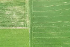 Graphic: Luftuafnahme gruner Agrarlandschaft im Fruhling