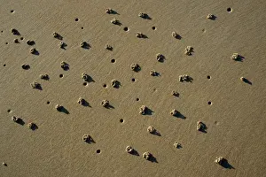 Casts: Lugworm - cast and holes on sandy beach