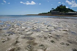 Photographed: Lugworm casts - photographed at low tide with St