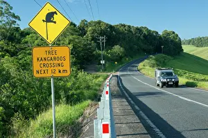 Lumholtz: Lumholtz's Tree Kangaroo sign to prevent roadkills