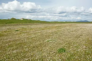 Machair: Machair