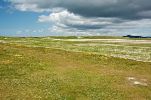 Machair: Machair - Showing rotational way in which it is farmed