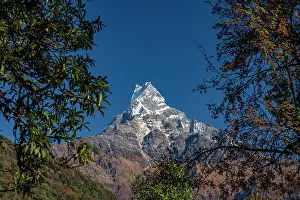 Nepalese: Machapuchare, Himalaya, fish tail, 6997m, holy mountain