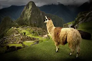 Machu: Machu Picchu Inca site