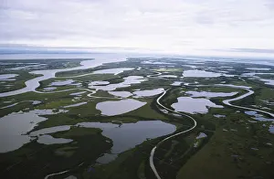 Channels: Mackenzie River Delta