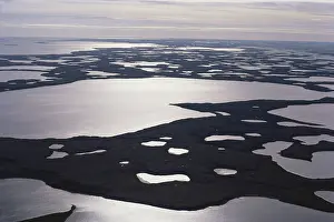 Estuarine: Mackenzie River Delta