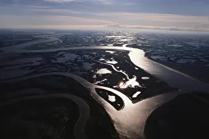 Estuarine: Mackenzie River Delta