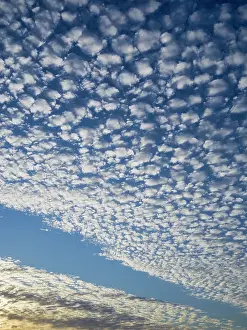 Geoff Du Feu: Mackerel cloud over Norfolk Grazing Marshes at sunset