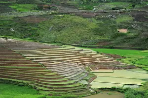 Terraced: Madagascar, Ambalavao, spectacular green