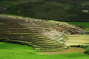 Terraced: Madagascar, Ambalavao, spectacular green