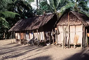 Roofs: MADAGASCAR - Houses with banana leaf roofs