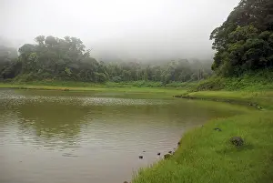 Flooding: Madagascar, Montagne d'Ambre, green forest