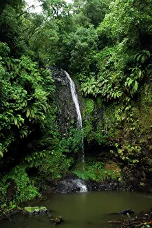 D Ambre: Madagascar, Montagne d'Ambre, waterfall