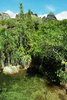 Oasis: Madagascar, National Park of Isalo, green