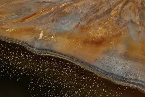 Rift: Magadi lake in Kenya and flamingos