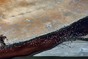 Rift: Magadi lake in Kenya and flamingos