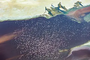 Rift: Magadi lake in Kenya and flamingos