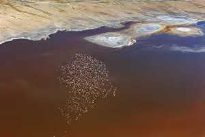 Rift: Magadi lake in Kenya and flamingos