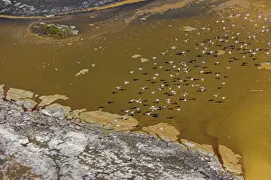 Rift: Magadi lake in Kenya and flamingos