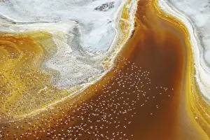 Rift: Magadi lake in Kenya and flamingos
