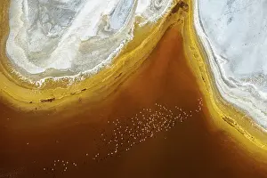 Rift: Magadi lake in Kenya and flamingos