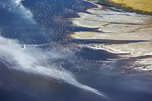 Rift: Magadi lake in Kenya and flamingos