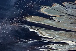 Rift: Magadi lake in Kenya and flamingos
