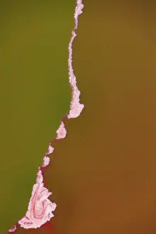 Rift: Magadi lake in Kenya, Patterns