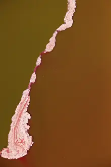 Rift: Magadi lake in Kenya, Patterns