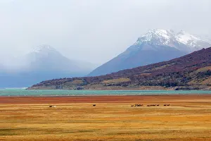 Magallanes: Magallanes Peninsula