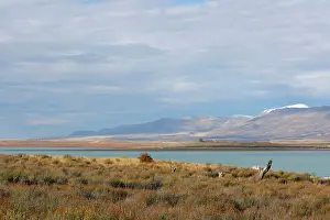 Magallanes: Magallanes Peninsula