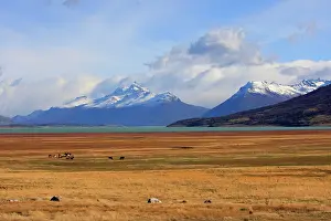 Magallanes: Magallanes Peninsula