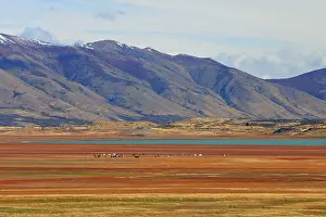 Magallanes: Magallanes Peninsula