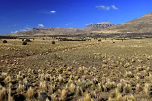 Magallanes: Magallanes Peninsula