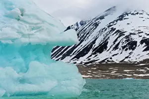 Magdalena: Magdalena Fjord, Glacier, Spitsbergen Island, Svalbard
