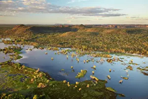 Rainy: Magela Wetlands, Kakadu National Park, Northern