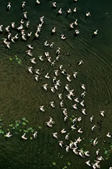 Magela: Magela Wetlands during The Wet Kakadu National