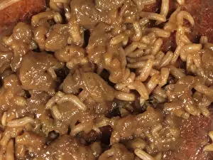 Decomposed: Maggots