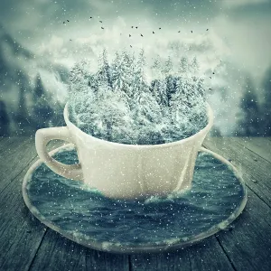 Meditate: Magic cup in a cold winter day with snowy forest