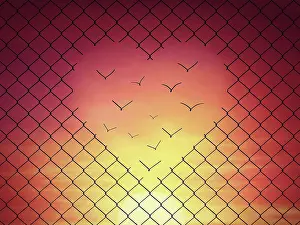 Metal: Magical escape with metallic wire mesh breaks up