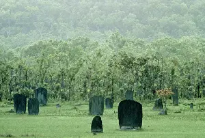 Magnetic: Magnetic Termite Mounds