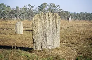 Magnetic: Magnetic Termite mounds