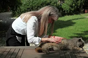 Magnetic: Magnetic therapy on a cat