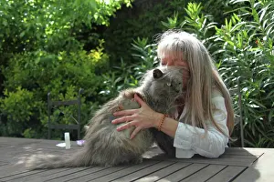 Magnetic: Magnetic therapy on a cat