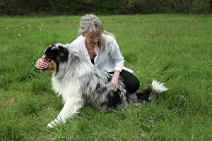 Magnetic: Magnetic therapy on a dog