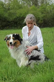 Magnetic: Magnetic therapy on a dog