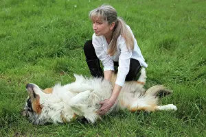 Magnetic: Magnetic therapy on a dog