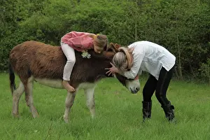 Magnetic: Magnetic therapy on a donkey