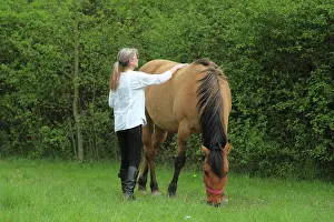 Magnetic: Magnetic therapy on a horse